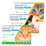 Revolution Plus Pipeta Antiparasitario Gato 125 A 25kg