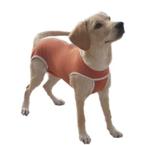 Body Post Operatorio Con Cobre Perro Gato Talla 0 15 A 25 Kgs 3