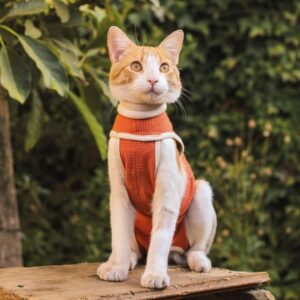 Body Post Operatorio Con Cobre Perro Gato Talla 0 15 A 25 Kgs 4