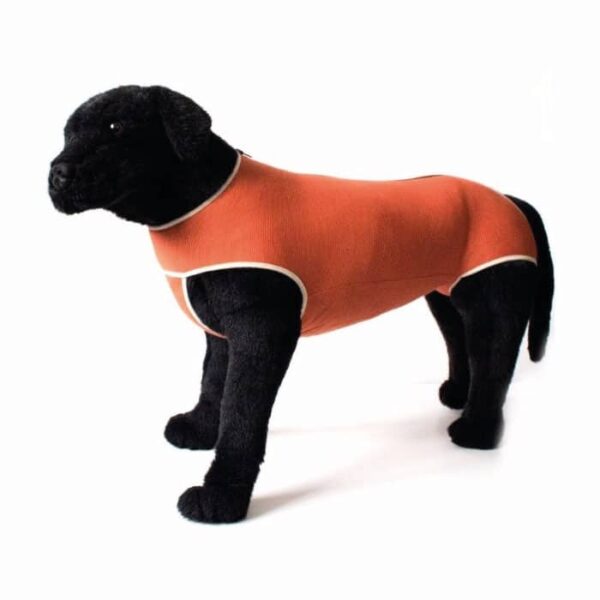 Body Post Operatorio Con Cobre Perro Gato Talla 0 15 A 25 Kgs