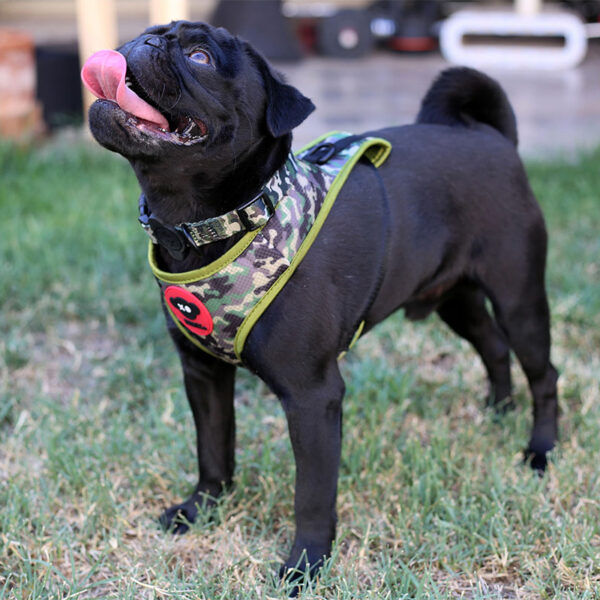 Brnx Arnes Respirable Camuflaje Perro Xsmall