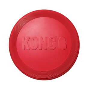 Kong Flyer Small 2