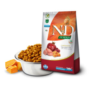 Nd Pumpkin Pollo Gato Castrado 2