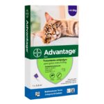 Advantage Pipeta Antipulgas Gato De 4 A 8kg